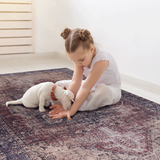 Naar Area Rug 3x5, Washable Rug, Low-Pile, Non-Slip, Non-Shedding, Foldable, Kid & Pet Friendly - Area Rugs for living room, bedroom, kitchen, dining room rug - Perfect Gifts, (Burgundy, 3' x 5')