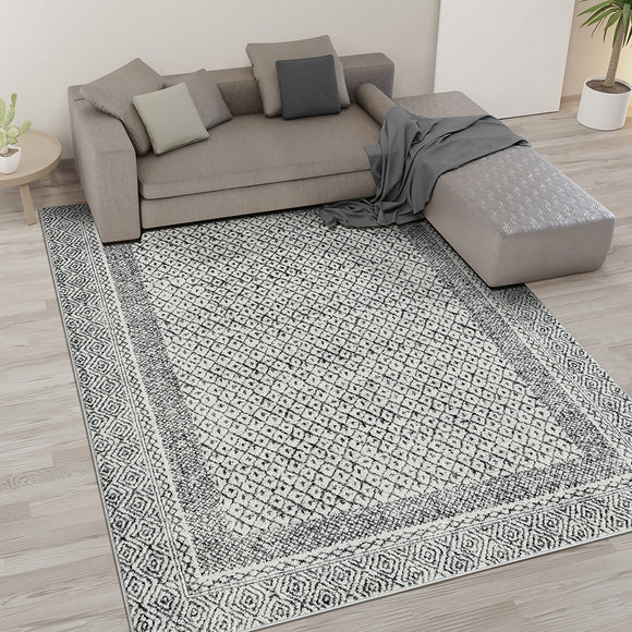 Moroccan Bordered Global Woven Area Rug