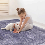 Naar Area Rug, Washable Rug, Low-Pile, Non-Slip, Non-Shedding, Foldable, Kid & Pet Friendly - Area Rugs for living room, bedroom, kitchen, dining room rug - Perfect Gifts, (Anthracite, 2'6'' x 10')