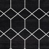 Trellis Geometric Woven Area Rug