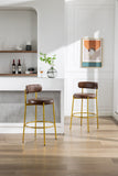 COOLMORE Bar Stools Industrial Pub Barstools with Back and Footrest, Modern Armless Bar Height Stool Chairs Set of 2