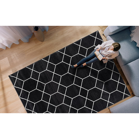 Trellis Geometric Woven Area Rug