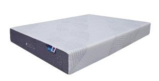 CAPELLA (MEDIUM OR PLUSH) MEMORY FOAM COLLECTION