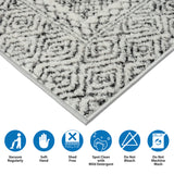 Moroccan Bordered Global Woven Area Rug