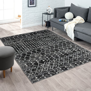 Moroccan Global Woven Area Rug