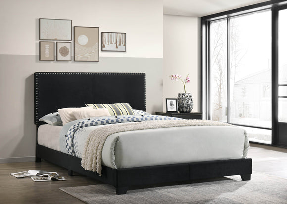 VELVET BED WITH NAILHEADS IN BLACK BY HH AVAILABLE IN HOUSTON, DALLAS, SAN ANTONIO, & AUSTIN  SKU HH520